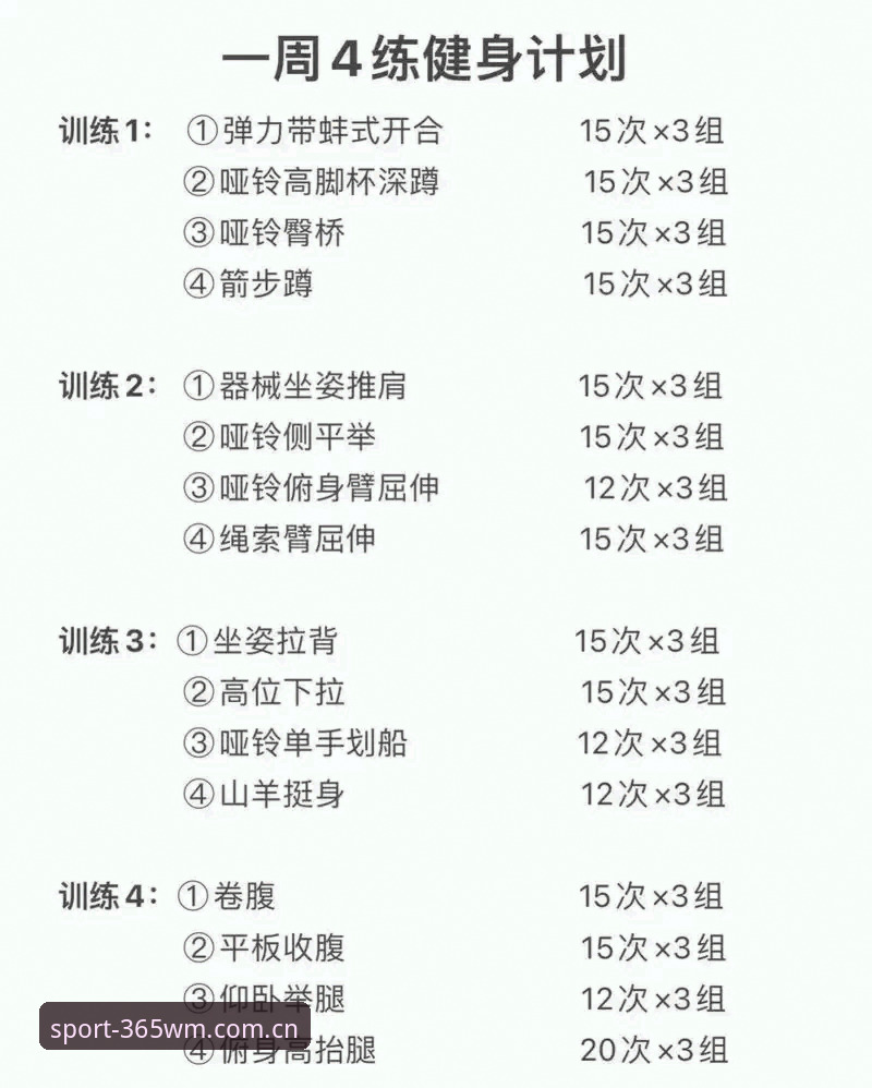揭秘WM完美体育使用教程：新手快速上手的三个关键步骤